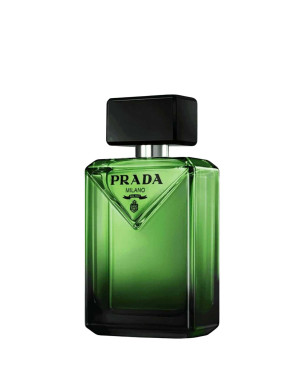 Paradigme Edp